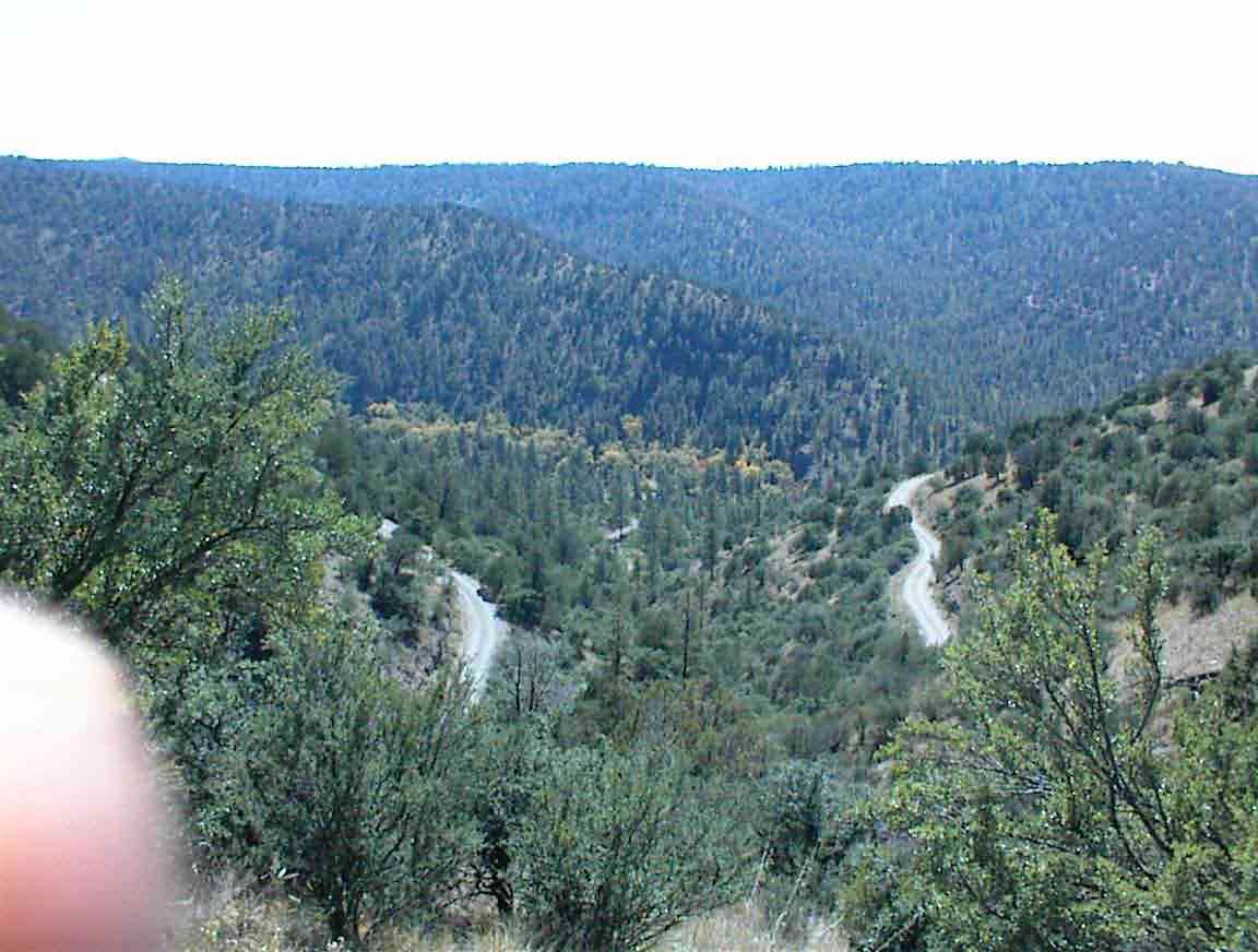 dsc00453.jpg (171428 bytes)